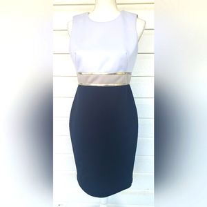 CALVIN KLEIN Sheath Midi Dress!!!!